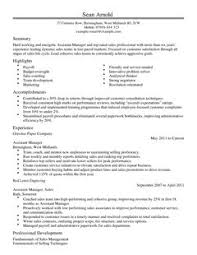 Sample resume sales assistant no experience   Buy Original Essays     Dayjob