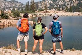 However, choosing whether to go with the cheap packs or an expensive one is not the only concern that you will have if you are looking for the best day hiking backpack. The Best Day Packs For Hiking 2021 Treeline Review