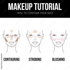 female face chart vector ilration