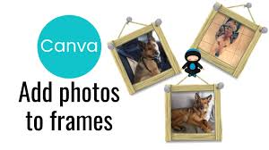 how to add photos to frames in canva