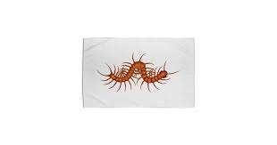 centipede home rug elonium s artist