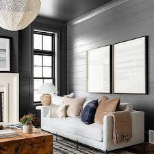 black shiplap living room walls design