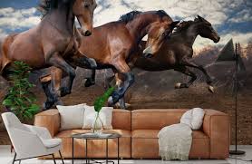 Horse Wallpaper Wall Murals