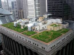What Is A Green Roof Howstuffworks