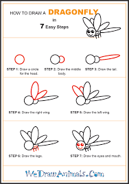 how to draw a simple dragonfly for kids