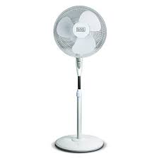 the 5 best oscillating fans of 2022