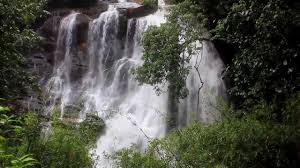 Sirimane falls is a popular waterfall in western ghats, located at about 18 kms from the temple town of sringeri in chikmagalur district. Sirimane Waterfalls Mangalore Taxi