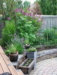 My Urban Canadian Prairie Zone 3 Garden