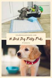 10 best dog potty pads your dog advisor