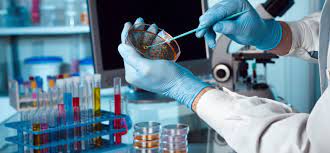 El Ministerio de Desarrollo Productivo otorgó más de $400 millones en proyectos de biotecnología - El Economista