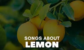 8 best songs about lemon all time hit