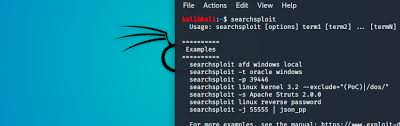 exploit database searchsploit manual