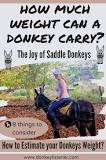 Can a 200lb person ride a donkey?