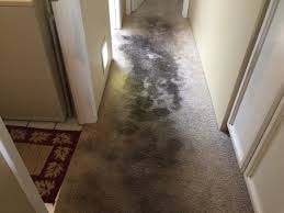 commercial carpet repair cleaning