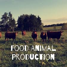 Food Animal Production - Stories from a Farm Girl
