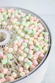 dehydrating marshmallows sustainable