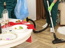 professional cleaning company visit