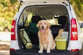 Dog Owners 2018 Select Car Leasing