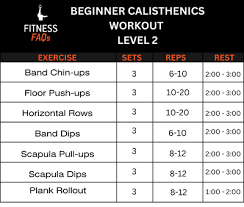 calisthenics workout for beginners