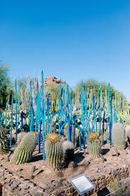 desert botanical garden