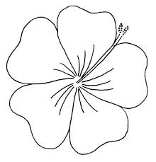 Flower Outline Template Outlines Simple Lotus Flower Template Simple