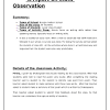 Student Observation Report