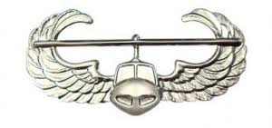 Image result for air assault badge