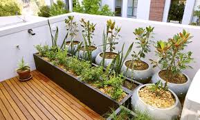 6 cool balcony garden ideas to