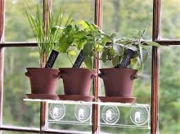 10 Important Tips To Create Your Own Indoor Herb Garden