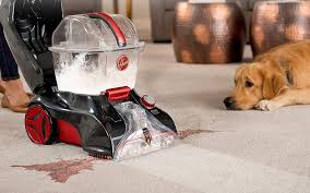 best carpet cleaner for pets to clean