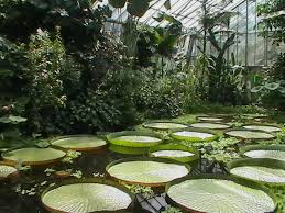 botanic garden edinburgh tour info