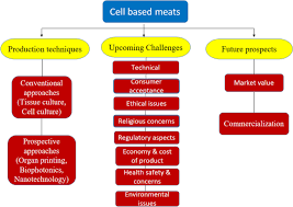 future prospects for cell based meat