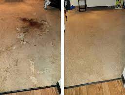 carpet cleaning webster ny chem dry