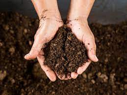 what is peat moss and how to use it in