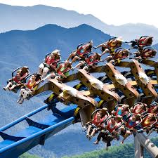 Check out what they're saying about dollywood. Dollywood Case Study Integrated Insight