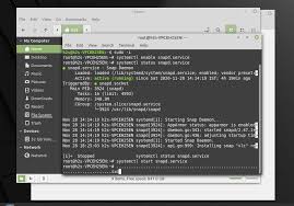 how to install snap on linux mint 20