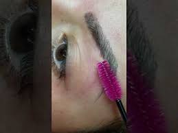 permanent makeup the lash brow