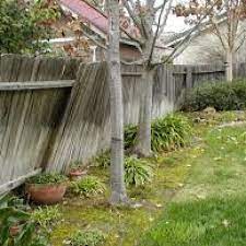 How To Protect A Fence From Soil Damage