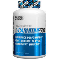 evlution nutrition l carnitine500 500