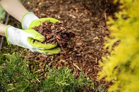 How To Stop Weeds From Growing In Mulch