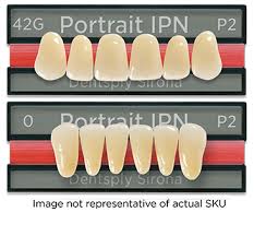 Portrait Ipn Denture Teeth Posterior Anatoline Upper Pw4 332