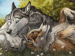 See more ideas about furry, furry art, anthro furry. Hd Wallpaper Anthros Blotch Furry Wolf Wallpaper Flare