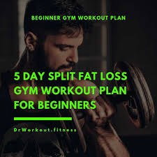 fat loss gym workout plan for beginners