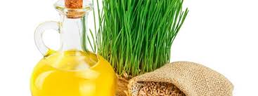 wheat germ oil nature s very own all