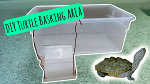 TURTLE BASKING AREA DIY Cheap and Easy YouTube