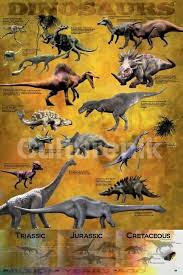 Dinosaur Chart Poster Poster Print