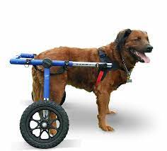 walkin wheels dog wheelchair for large