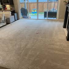i love carpet cleaning 14 photos