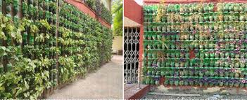 Creation Of Vertical Gardens By The