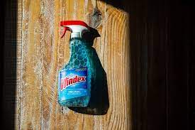 10 Surprising Windex Uses Aside From